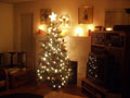 tree and all candles lit.jpg